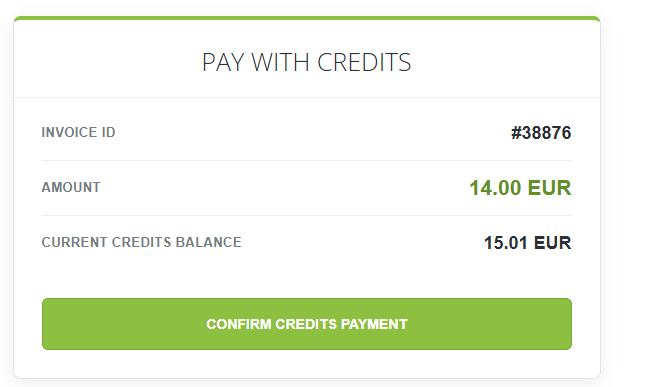 Credits payment confirmation showing invoice amount and current balance